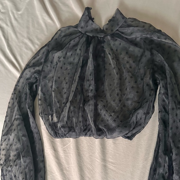 Cropped Mesh Puff Sleeve Polka Dot Top - Picture 5 of 5